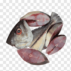 COD Fish
